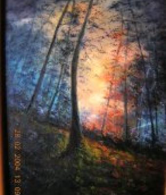 luce-nel-bosco