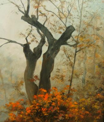 albero-nella-nebbia