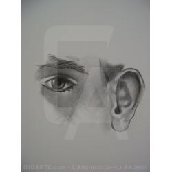 impressione-4