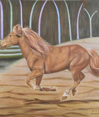 cavallo-in-libert