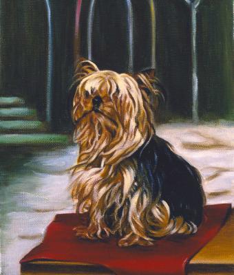 cane