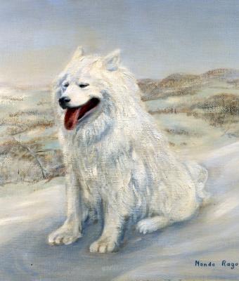 cane-bianco-tra-la-neve