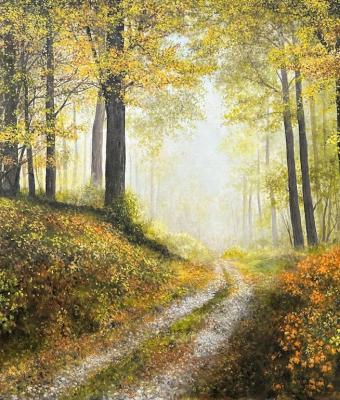 il-bosco-in-autunno