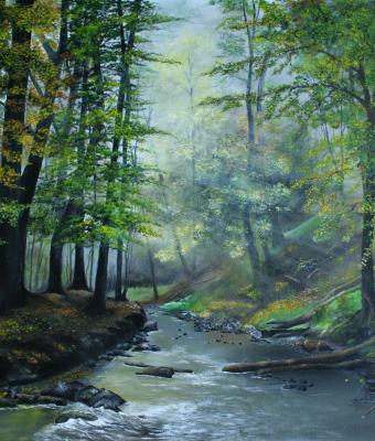 torrente-nel-bosco
