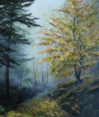 scende-la-sera-nel-bosco