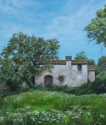 primavera-in-campagna
