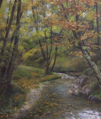il-bosco-con-i-colori-della