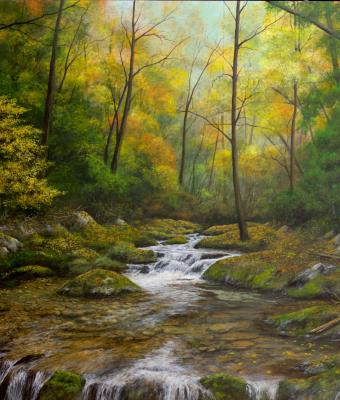 autunno-nel-bosco