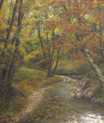 il-bosco-con-i-colori-dell-aut