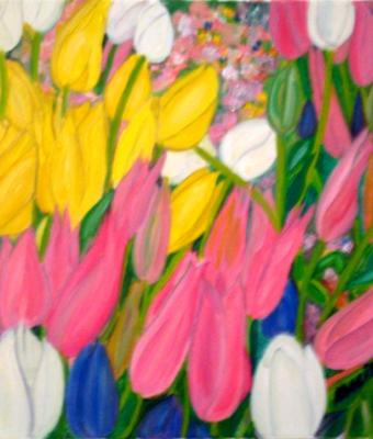 tulipani
