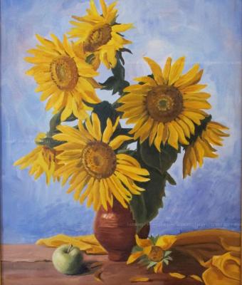 girasoli