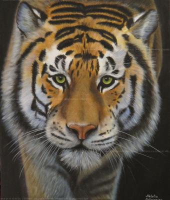 tigre