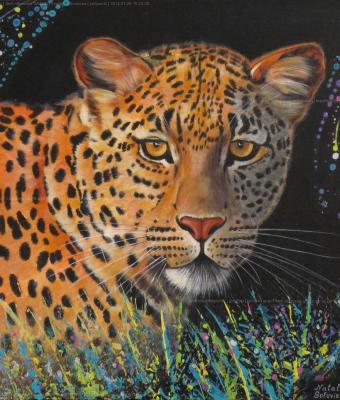 leopardo