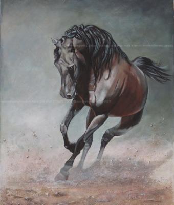 cavallo-in-liberta