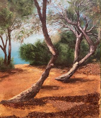 parco-di-licosa