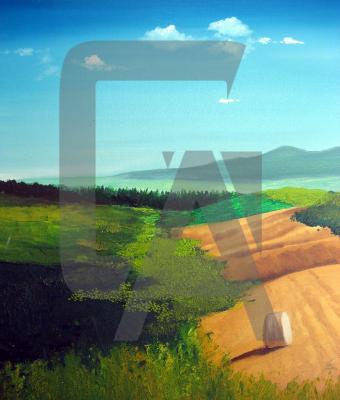 paesaggio-campestre