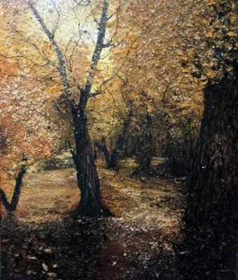 autunno-nel-bosco