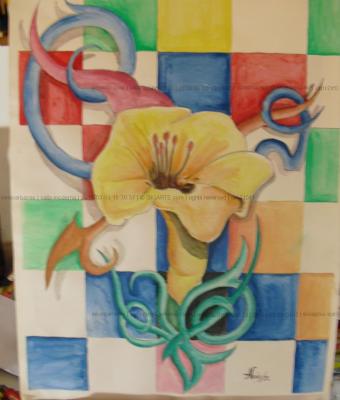 calla-moderna
