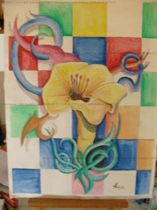 calla-moderna