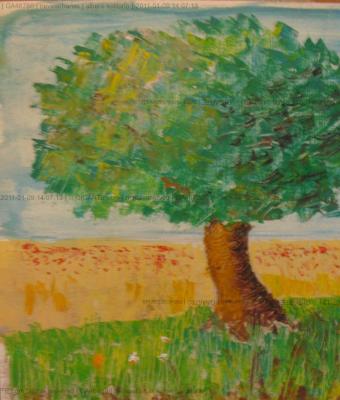 albero-solitario