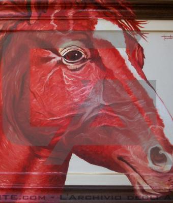 il-cavallo-rosso