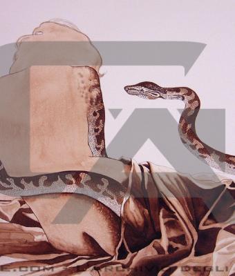 un-caff-per-il-risveglio-di