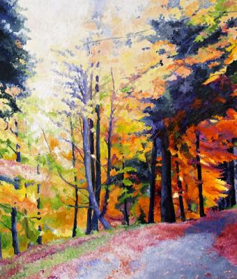 foresta-mista-2