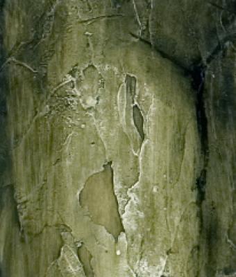 attesa-rassegnata