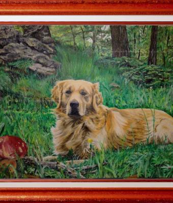 cane-nel-sottobosco