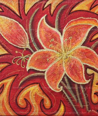 lilium
