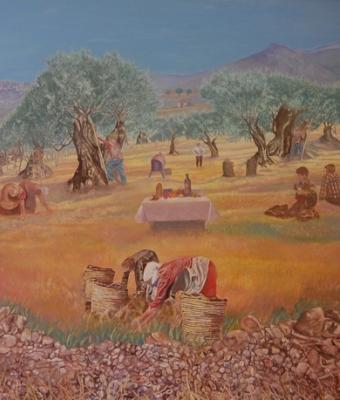 quotvita-dei-campiquot