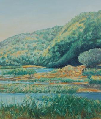 quot-i-colori-del-biviere-n