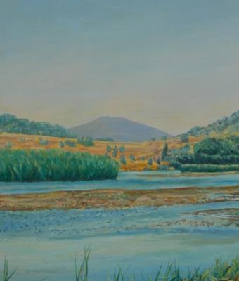 quot-i-colori-del-biviere-n