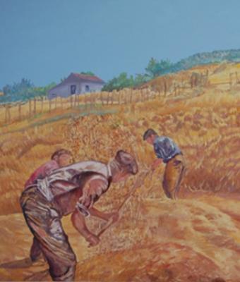lavori-sull-aia