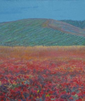 campo-di-pavaveri