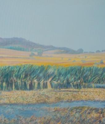 i-colori-del-biviere
