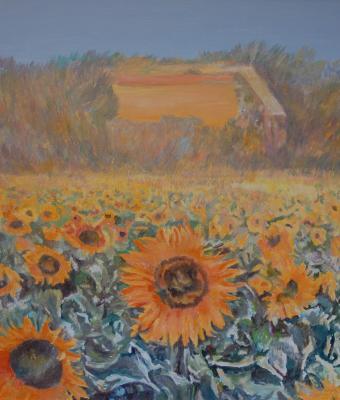 campo-di-luce