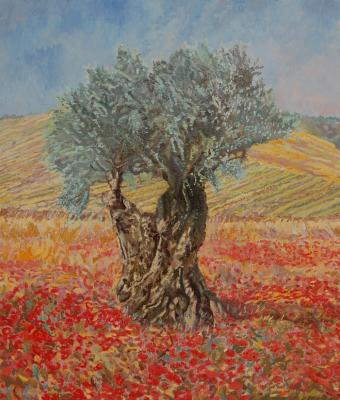 i-colori-della-vita