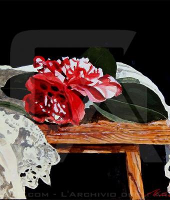 camelia-rossa-su-drappo