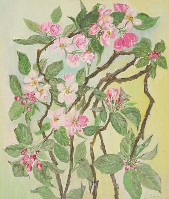 fiori-di-melo