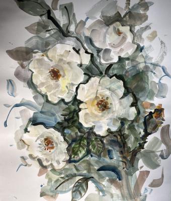 rose-bianche