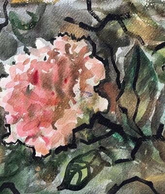 ultima-rosa-acquerello-ori