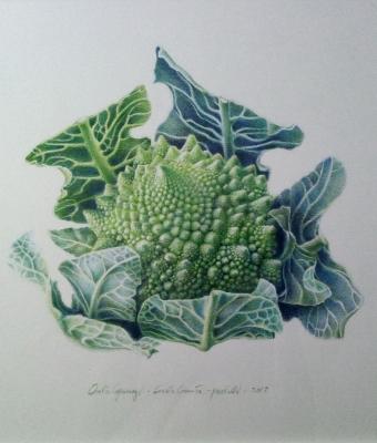 cavolo-cornutopastelli2018