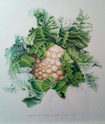 cavolfiore-fogliepastelli201