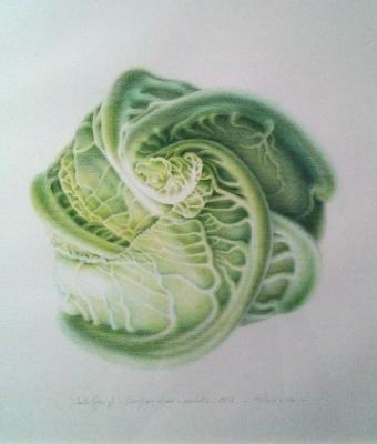 cavolfiore-chiusopastelli201