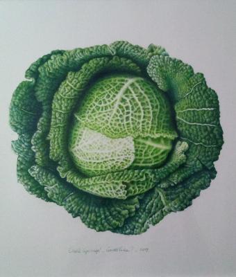 cavolo-verzapastelli2017