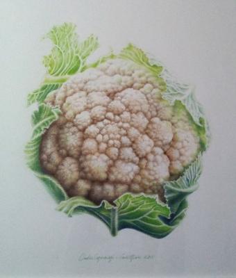 cavolfiorepastelli2017
