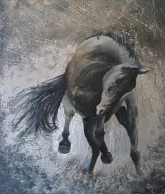cavallo-scalpitante
