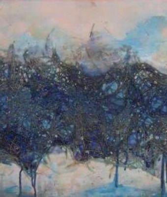 in-pineta-dopo-il-temporale