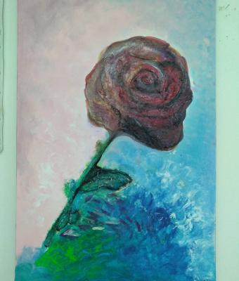 rosa